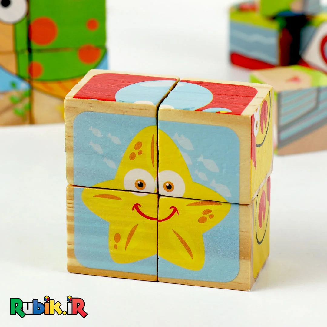 2*2 cube Puzzles