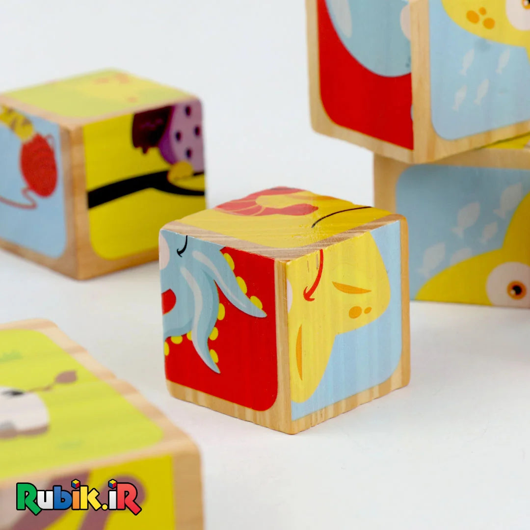 2*2 cube Puzzles