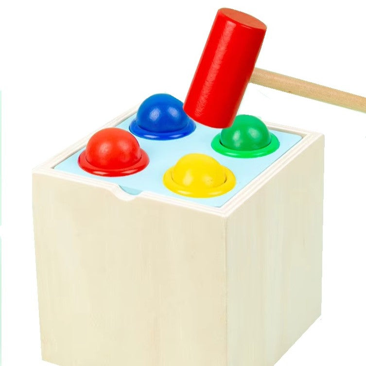 5-in-1 Montessori Wooden Activity Toy for Kids | Educational Learning Toy | Shape Sorting, Fishing, Hammering & Carrot Harvest | Wooden Toy for Toddlers (1-4 Years)