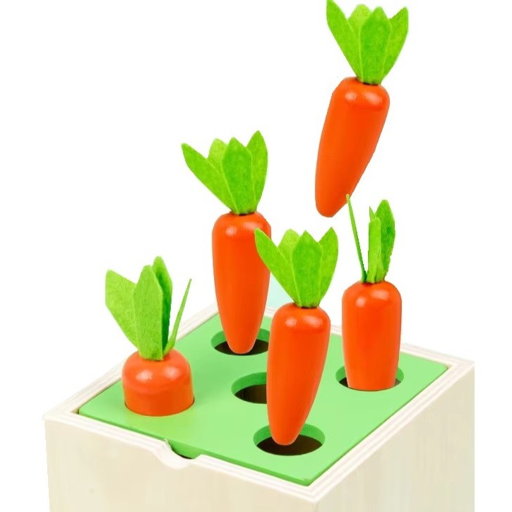 5-in-1 Montessori Wooden Activity Toy for Kids | Educational Learning Toy | Shape Sorting, Fishing, Hammering & Carrot Harvest | Wooden Toy for Toddlers (1-4 Years)